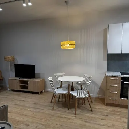Apartament Piotrkowska Z Garazem Blisko Centrum Nowoczesny *