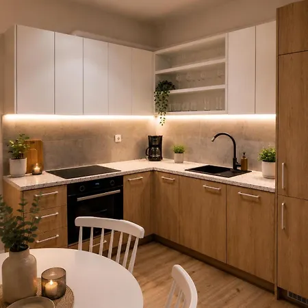 Apartament Piotrkowska Z Garazem Blisko Centrum Nowoczesny Łódź